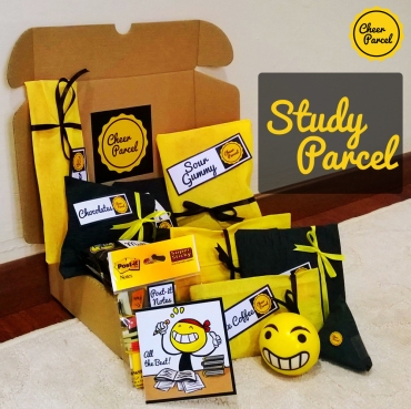 Study Parcel (Wrapped)